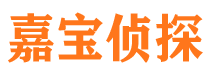 昂仁侦探公司